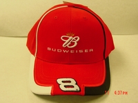 Click here to view more Nascar Merchandise!